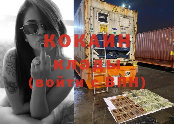 винт Ельня