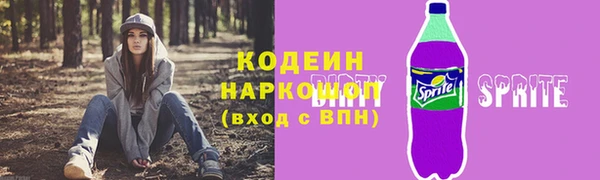 СК Осинники
