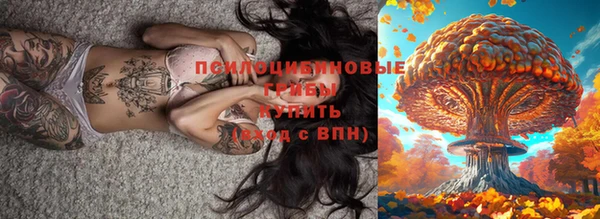 винт Ельня