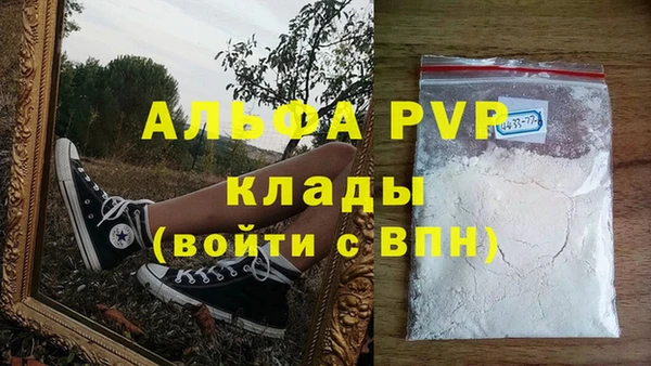 винт Ельня