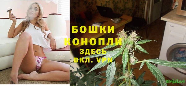 СК Осинники
