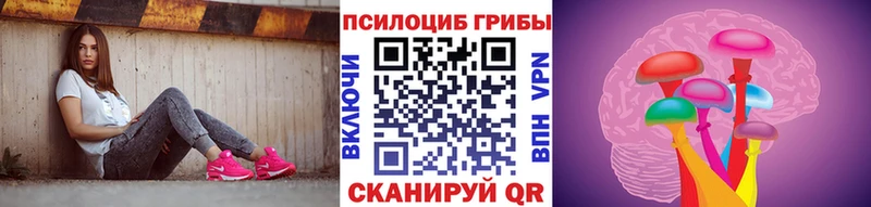 Псилоцибиновые грибы Psilocybe  где можно купить   Слободской 